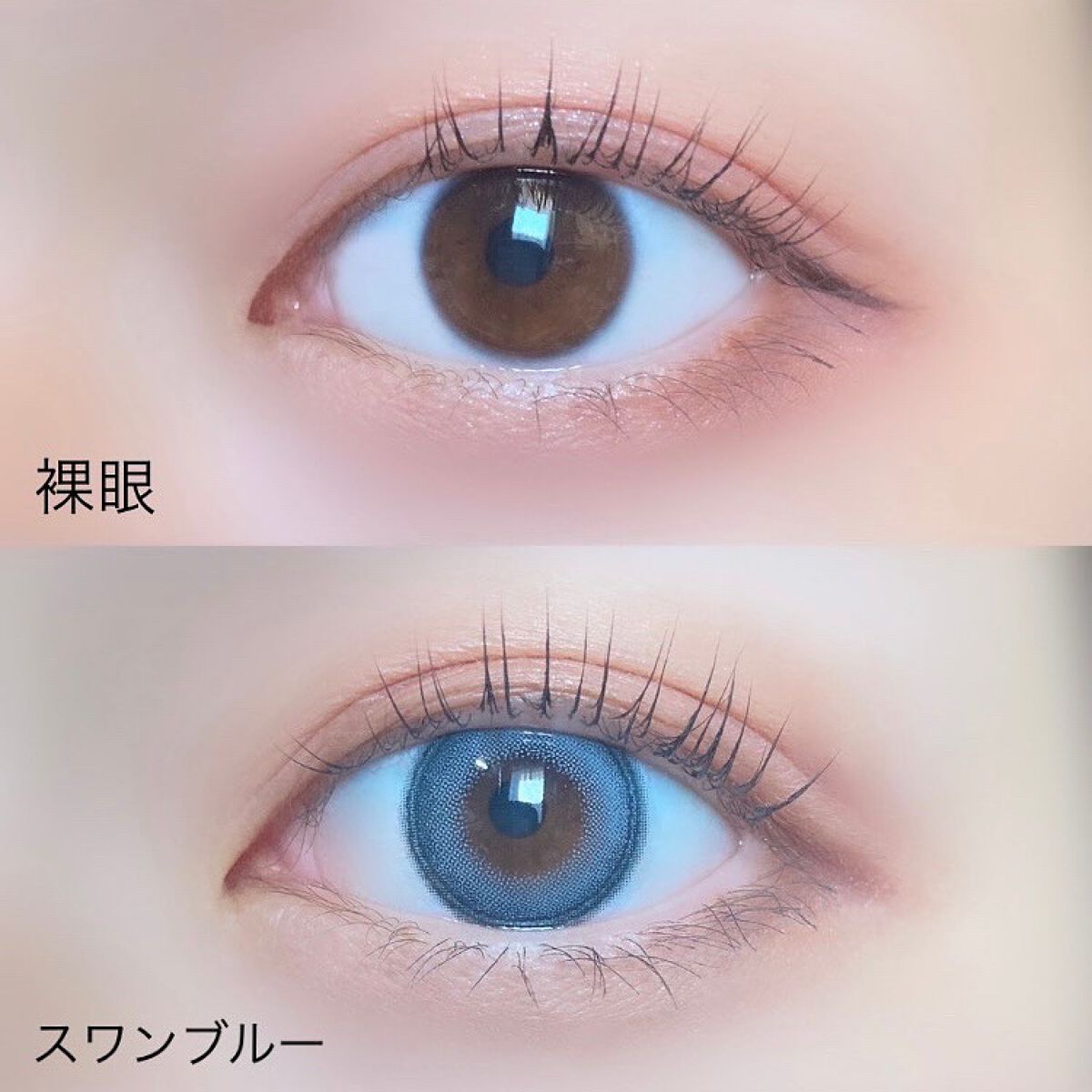 Angelcolor Bambi Series 1day /AngelColor/ワンデー（１DAY）カラコンを使ったクチコミ（2枚目）