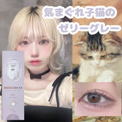 mimuco 1day/mimuco/ワンデー(1DAY)カラコンを使ったクチコミ(1枚目)
