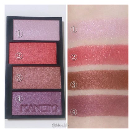 レイヤードカラーズアイシャドウ/KANEBO/アイシャドウパレットを使ったクチコミ(4枚目)