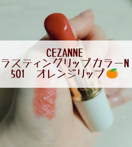 ラスティング リップカラーN/CEZANNE/口紅を使ったクチコミ(1枚目)