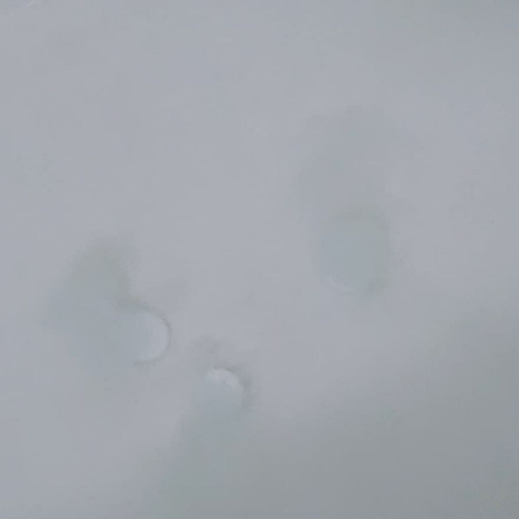 中性重炭酸入浴剤/BARTH/炭酸系入浴剤を使ったクチコミ(4枚目)