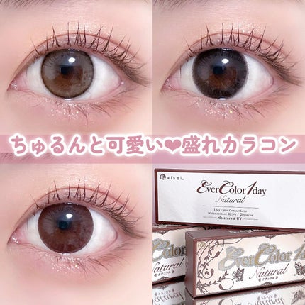 エバーカラーワンデー ナチュラル ナチュラルブラック/エバーカラー/ワンデー(1DAY)カラコンを使ったクチコミ(1枚目)