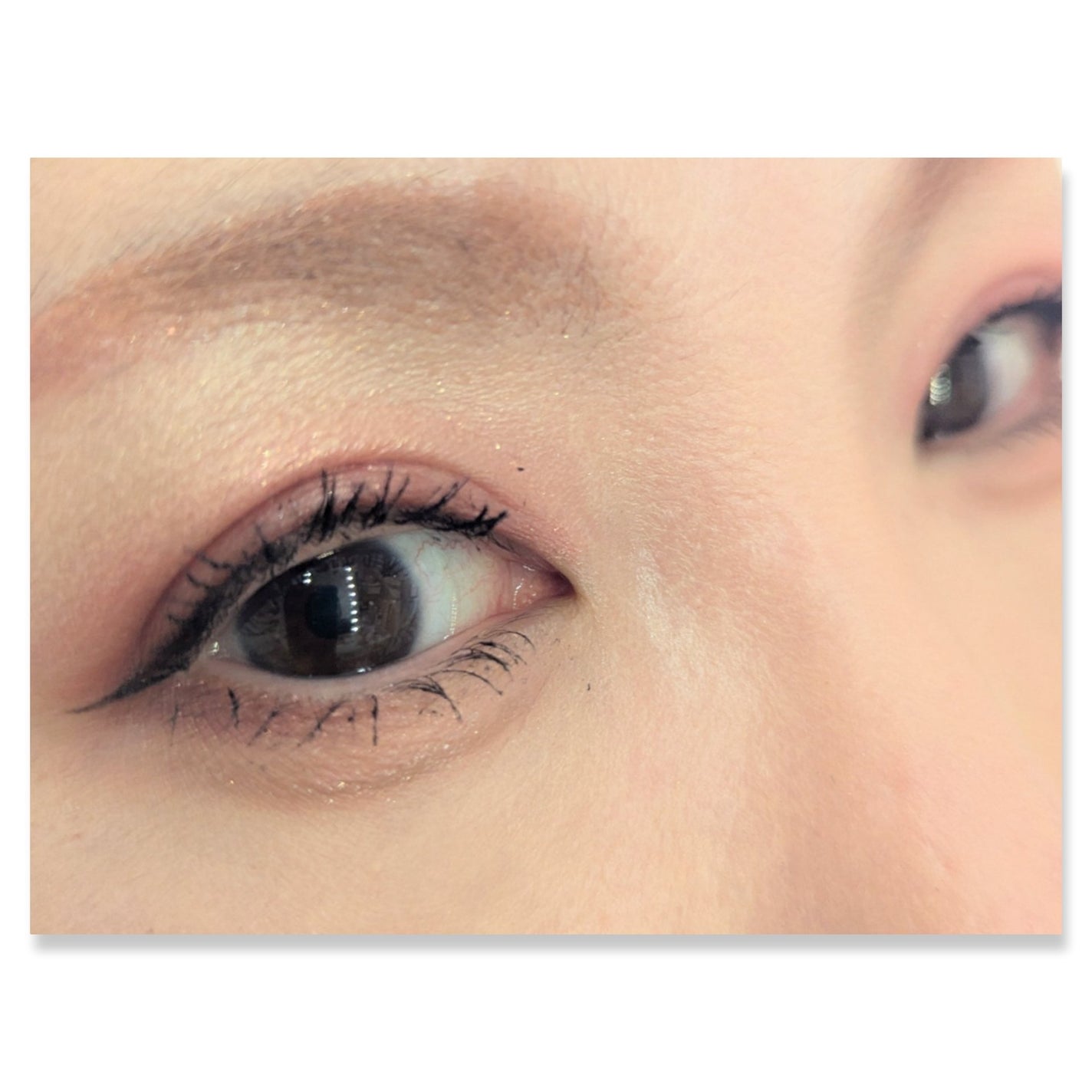 セレクト アイカラー N/ESPRIQUE/単色アイシャドウを使ったクチコミ(2枚目)