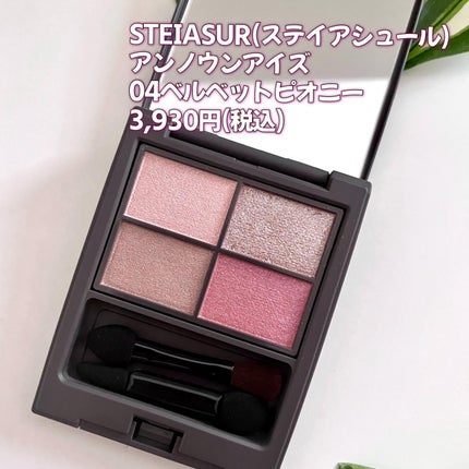 ã¢ã³ããŠã³ã¢ã€ãº/STEIASURïŒã¹ãã€ã¢ã·ã¥ãŒã«ïŒ/ã¢ã€ã·ã£ããŠãã¬ããã䜿ã£ãã¯ãã³ãïŒ2æç®ïŒ