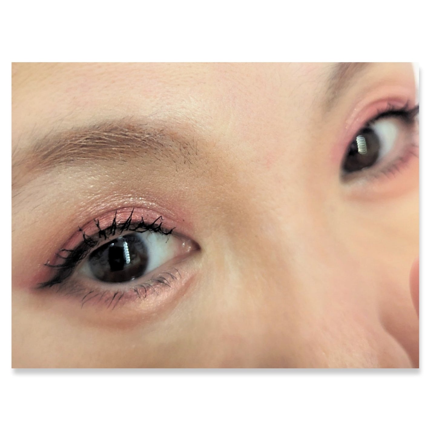 グラムチェンジマルチパレット/A.BLACK/マルチパレットを使ったクチコミ(2枚目)