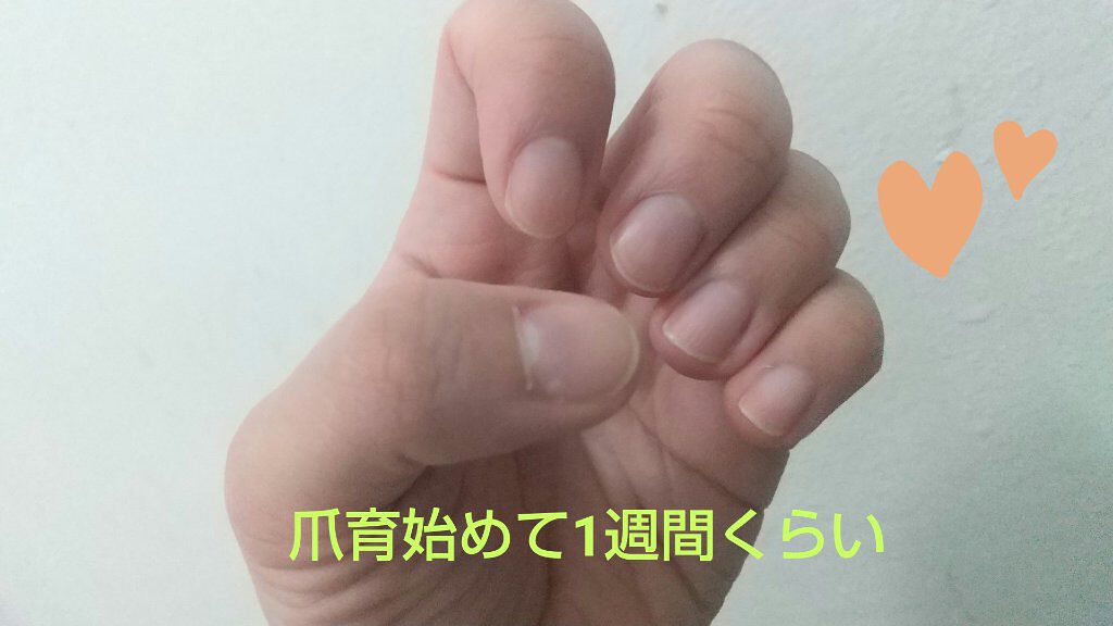 を使ったクチコミ（1枚目）