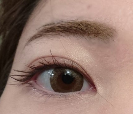 ブレンドアイブローコンパクト/オルビス/パウダーアイブロウを使ったクチコミ(4枚目)