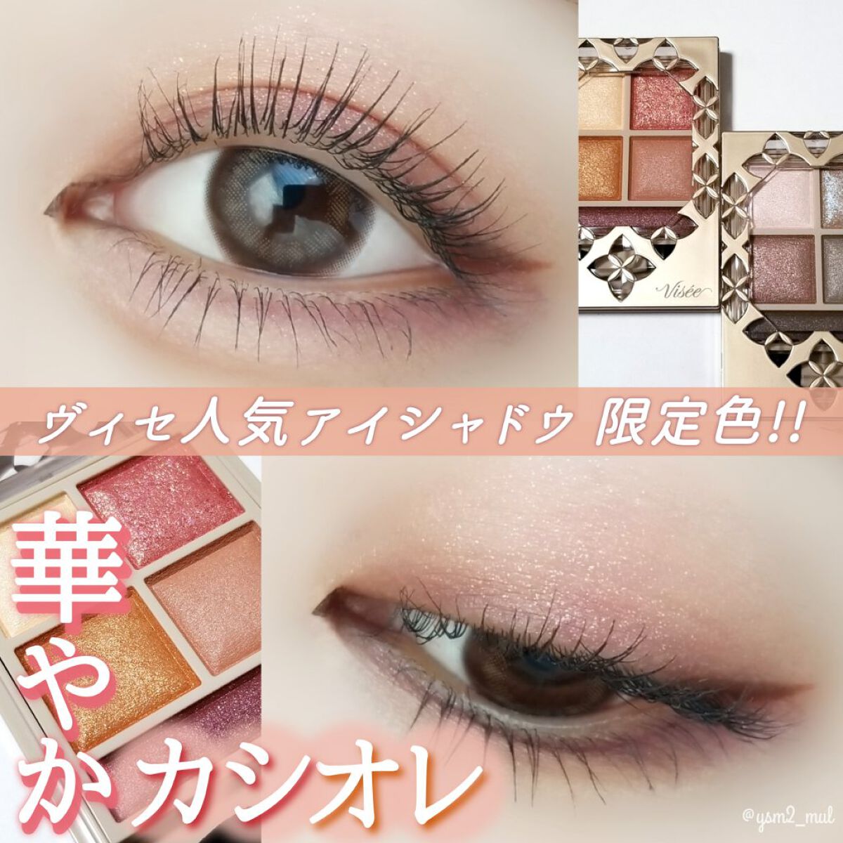 パノラマデザイン アイパレット/Visée/アイシャドウパレットを使ったクチコミ(1枚目)
