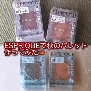 アイカラー ケース N/ESPRIQUE/その他化粧小物を使ったクチコミ（1枚目）