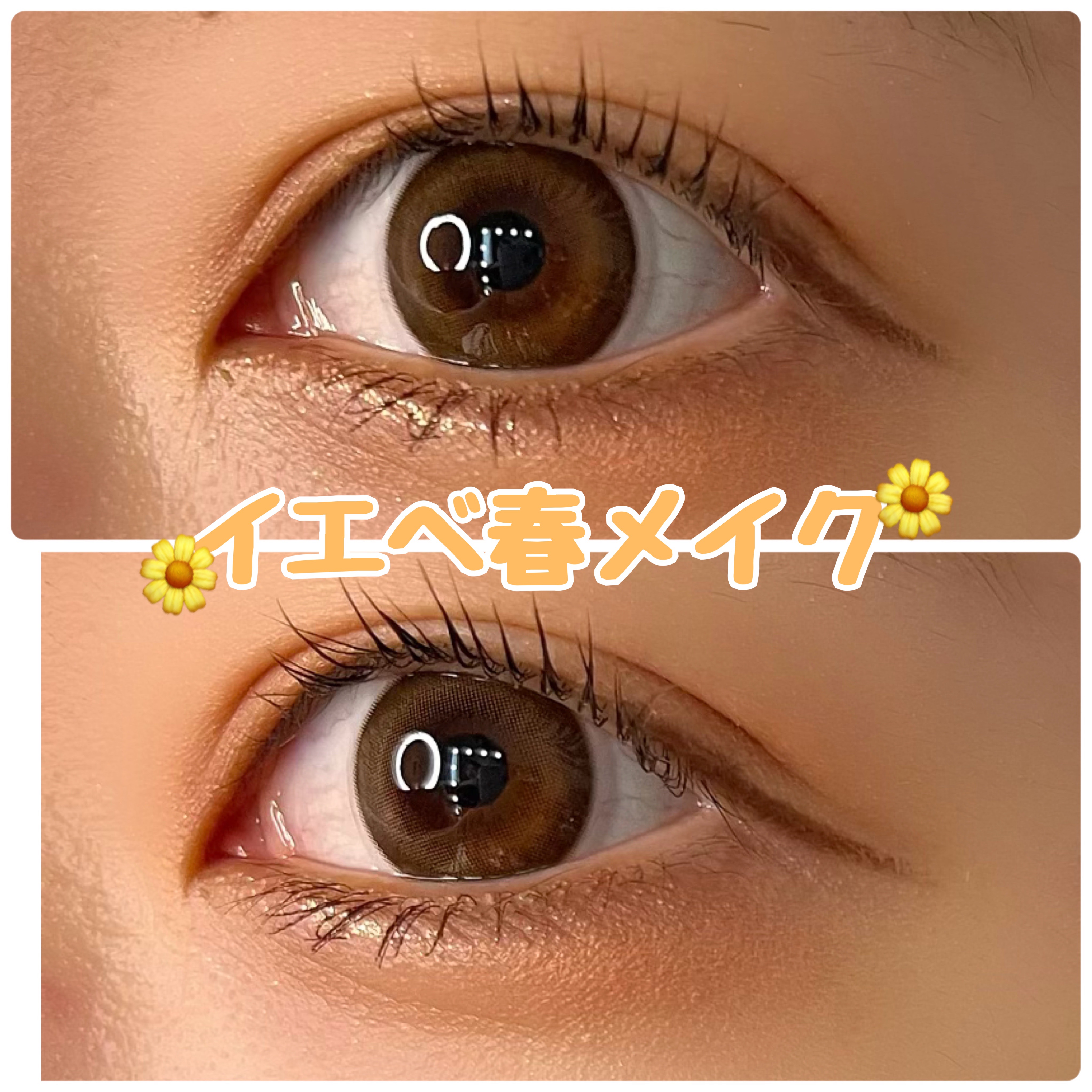 クイックラッシュカーラー/キャンメイク/マスカラ下地を使ったクチコミ（1枚目）