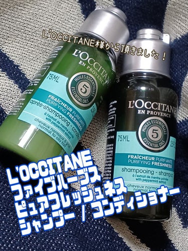 ファイブハーブス ピュアフレッシュネス シャンプー／コンディショナー シャンプー75ml/L'OCCITANE/シャンプー・コンディショナーを使ったクチコミ（2枚目）