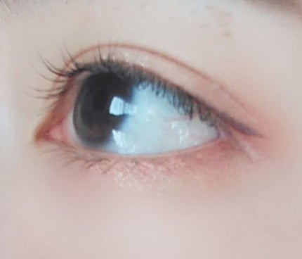 ツイングラデーションアイカラー/オルビス/アイシャドウパレットを使ったクチコミ(2枚目)