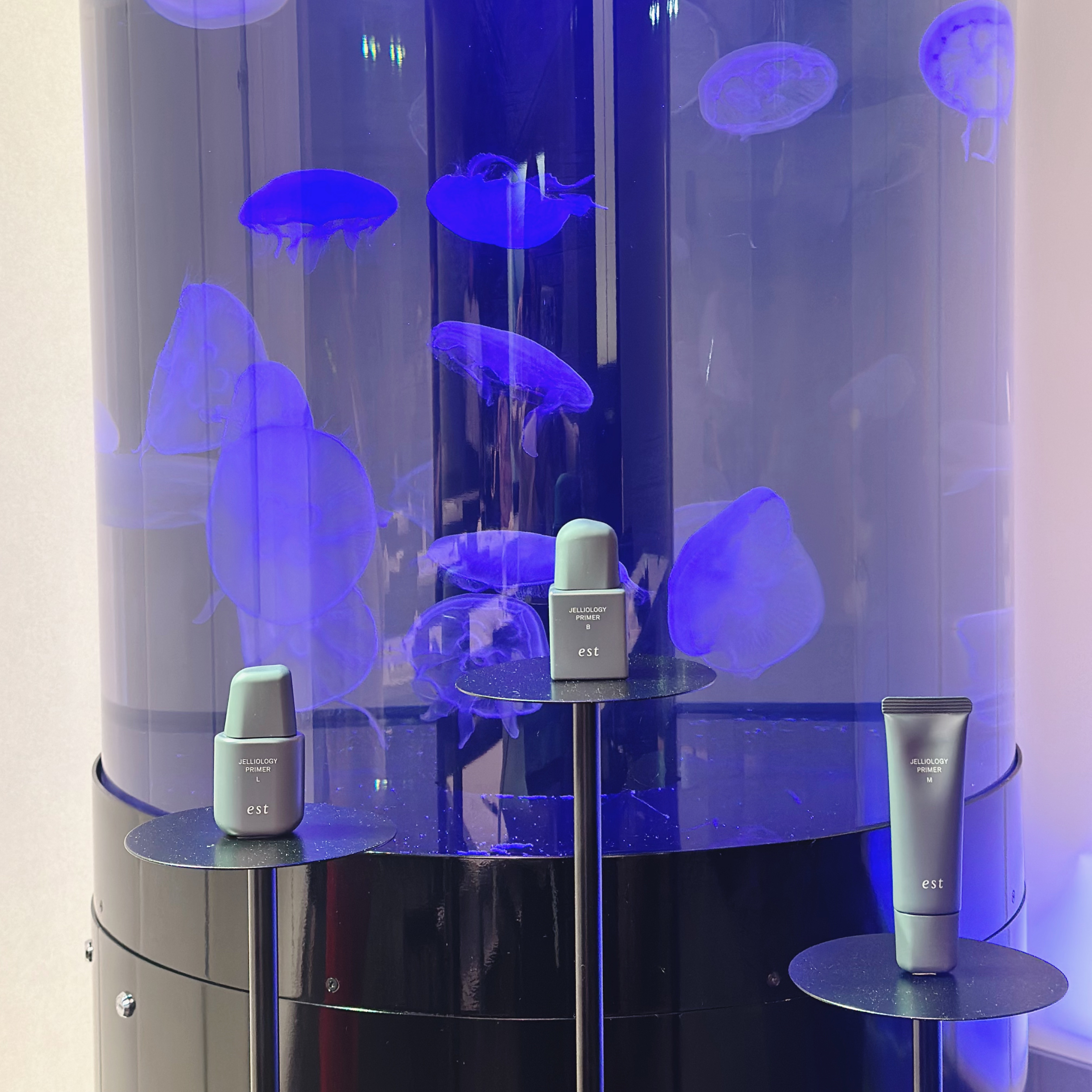 エスト ジェリオロジー プライマー L/est/化粧下地を使ったクチコミ（2枚目）