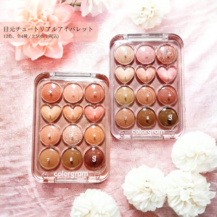 目元チュートリアルアイパレット/Colorgram/アイシャドウパレットを使ったクチコミ(1枚目)