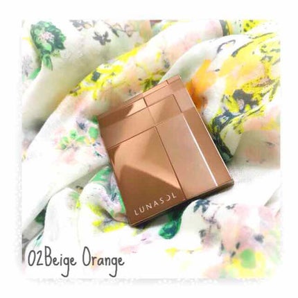 スキンモデリングアイズ/LUNASOL/アイシャドウパレットを使ったクチコミ(1枚目)