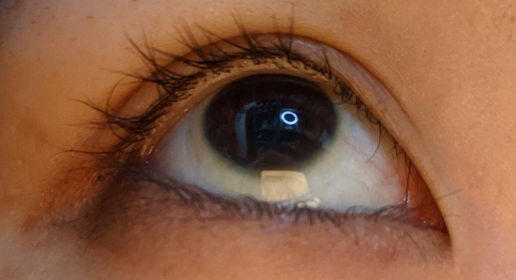 EMAKED（エマーキット）/水橋保寿堂製薬/まつげ美容液を使ったクチコミ（3枚目）