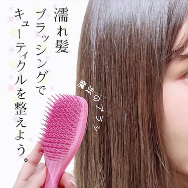 ザ・ウェットディタングラー ミニ/TANGLE TEEZER/ヘアブラシを使ったクチコミ（1枚目）