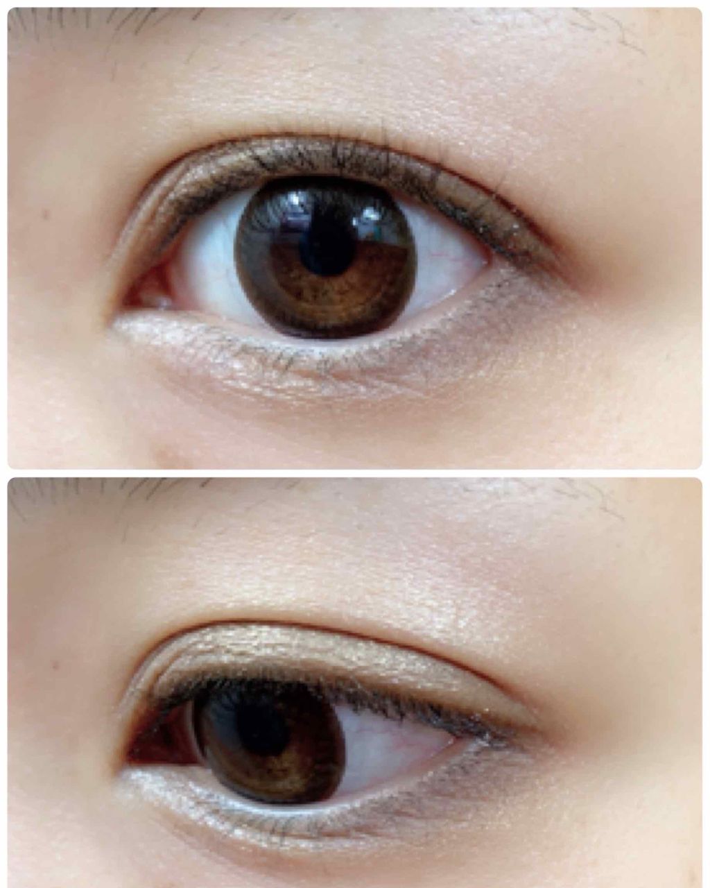 トーンアップアイシャドウ 01 ナチュラルブラウン/CEZANNE/アイシャドウパレットを使ったクチコミ（1枚目）