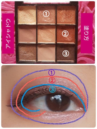 UR GLAM　BLOOMING EYE COLOR PALETTE/U R GLAM/アイシャドウパレットを使ったクチコミ（2枚目）