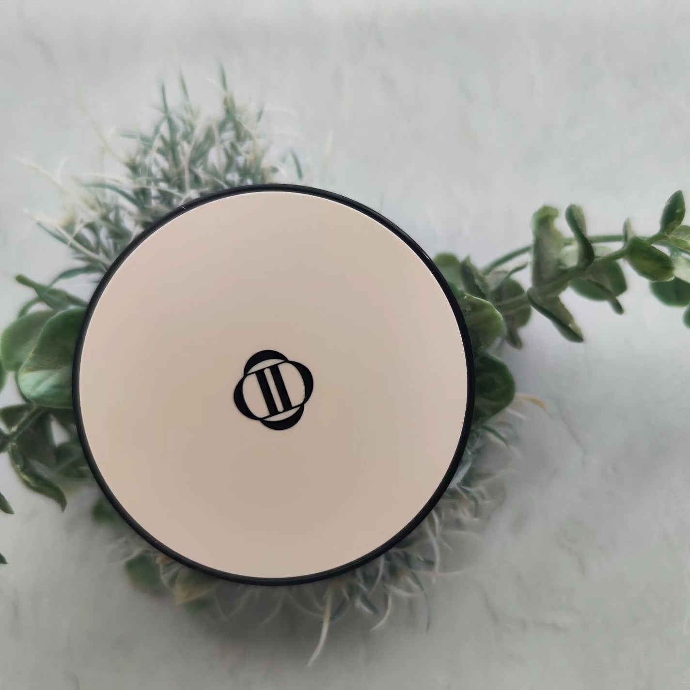 ブラーフィニッシュ雲楚クッション/Dinto/クッションファンデーションを使ったクチコミ(2枚目)