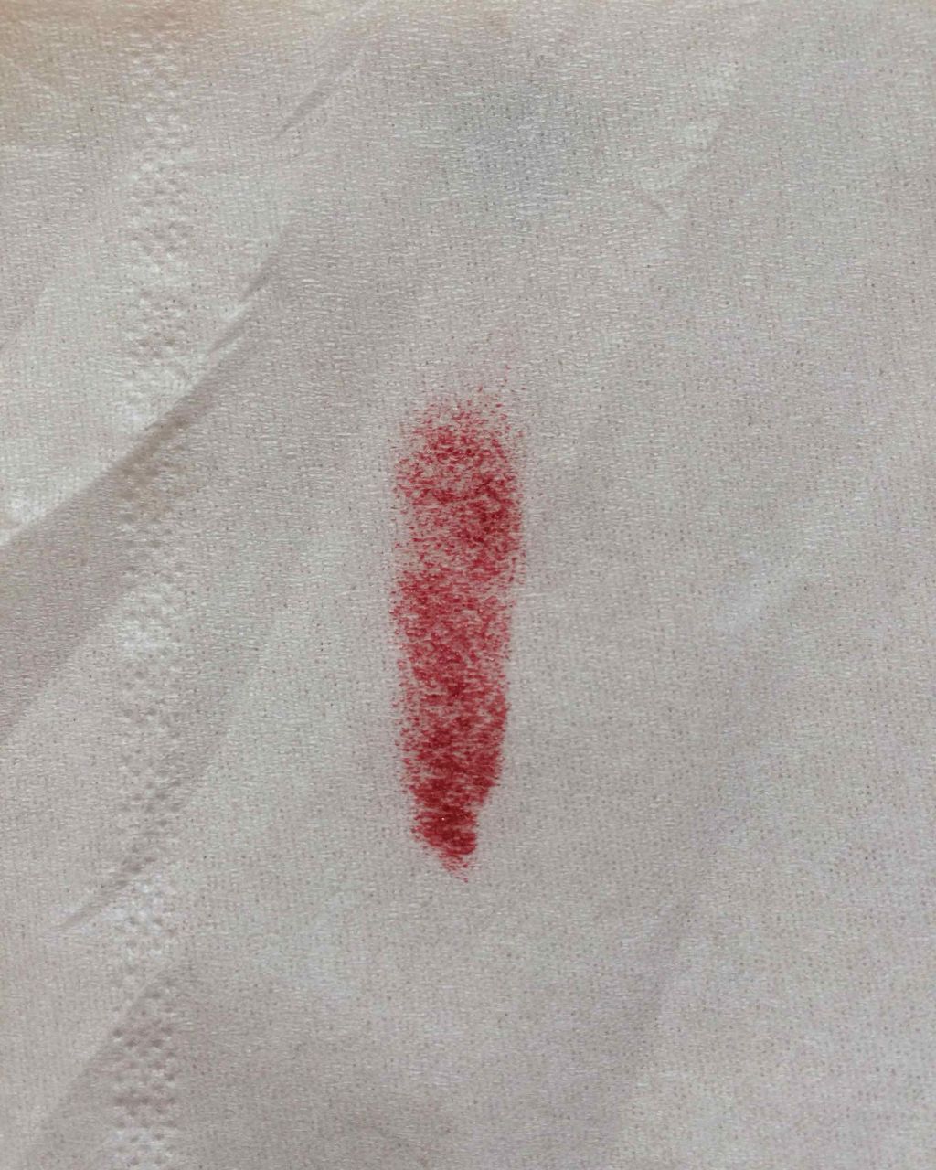 イレジスティブル グローリップス/RMK/口紅を使ったクチコミ(2枚目)