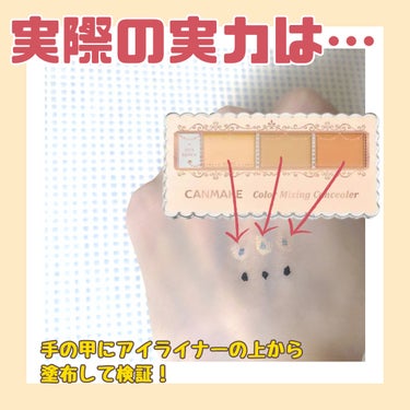カラーミキシングコンシーラー 01 ライトベージュ/キャンメイク/パレットコンシーラーを使ったクチコミ（3枚目）
