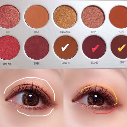 MORPHE×JACLYN Hill  RING THE ALARM/Morphe/アイシャドウパレットを使ったクチコミ(2枚目)