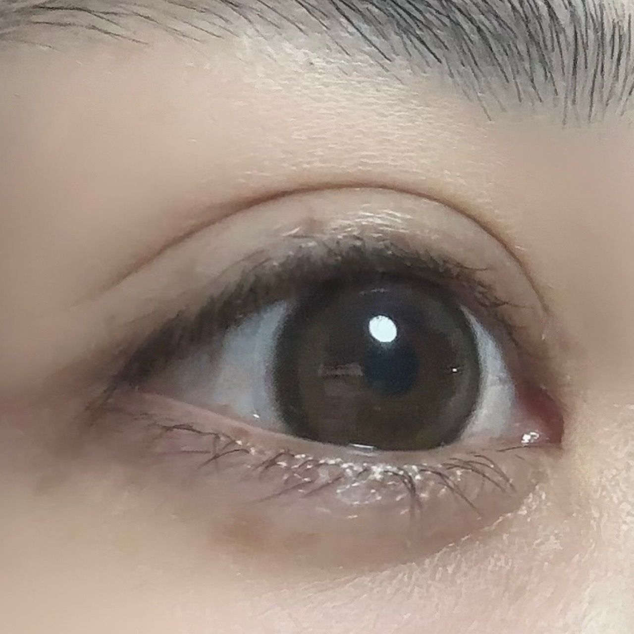 MOLAK 1month/MOLAK/１ヶ月（１MONTH）カラコンを使ったクチコミ（3枚目）