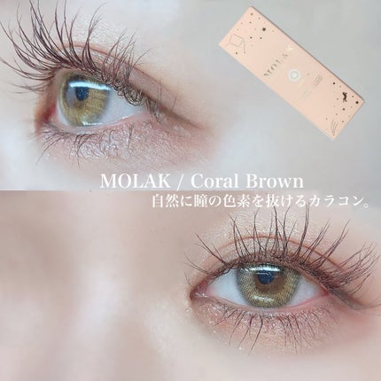 MOLAK 1day/MOLAK/ワンデー(1DAY)カラコンを使ったクチコミ(1枚目)