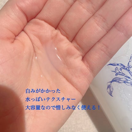 ハトムギ化粧水(ナチュリエ スキンコンディショナー R )/ナチュリエ/化粧水を使ったクチコミ(2枚目)