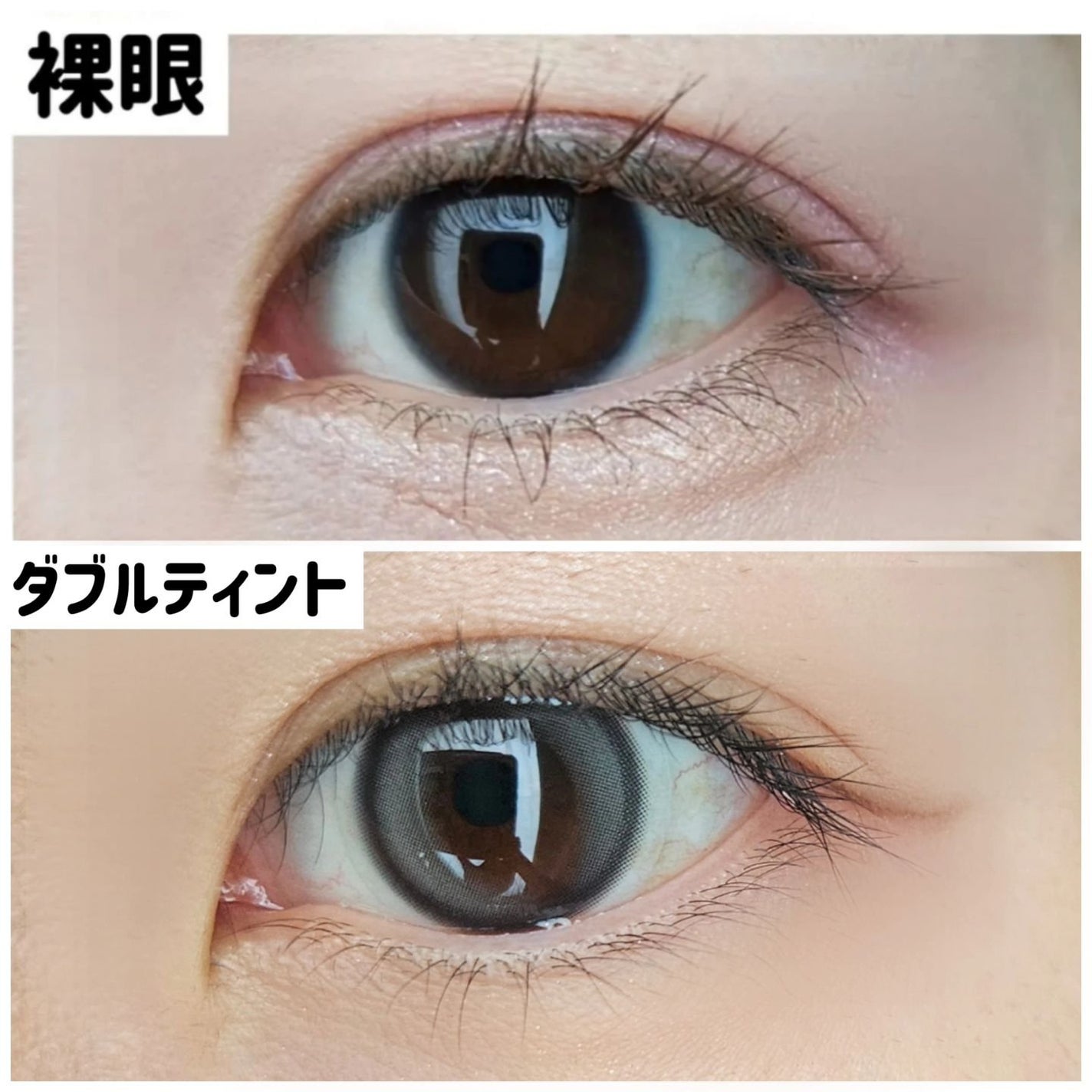 Real Ring 1day/OLENS/ワンデー(1DAY)カラコンを使ったクチコミ(5枚目)