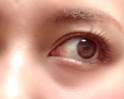 ラッシュニスタ N/MAYBELLINE NEW YORK/マスカラを使ったクチコミ(1枚目)