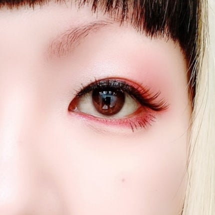 アニマルアイシャドウ(4シェード)/ZEESEA/アイシャドウパレットを使ったクチコミ(5枚目)