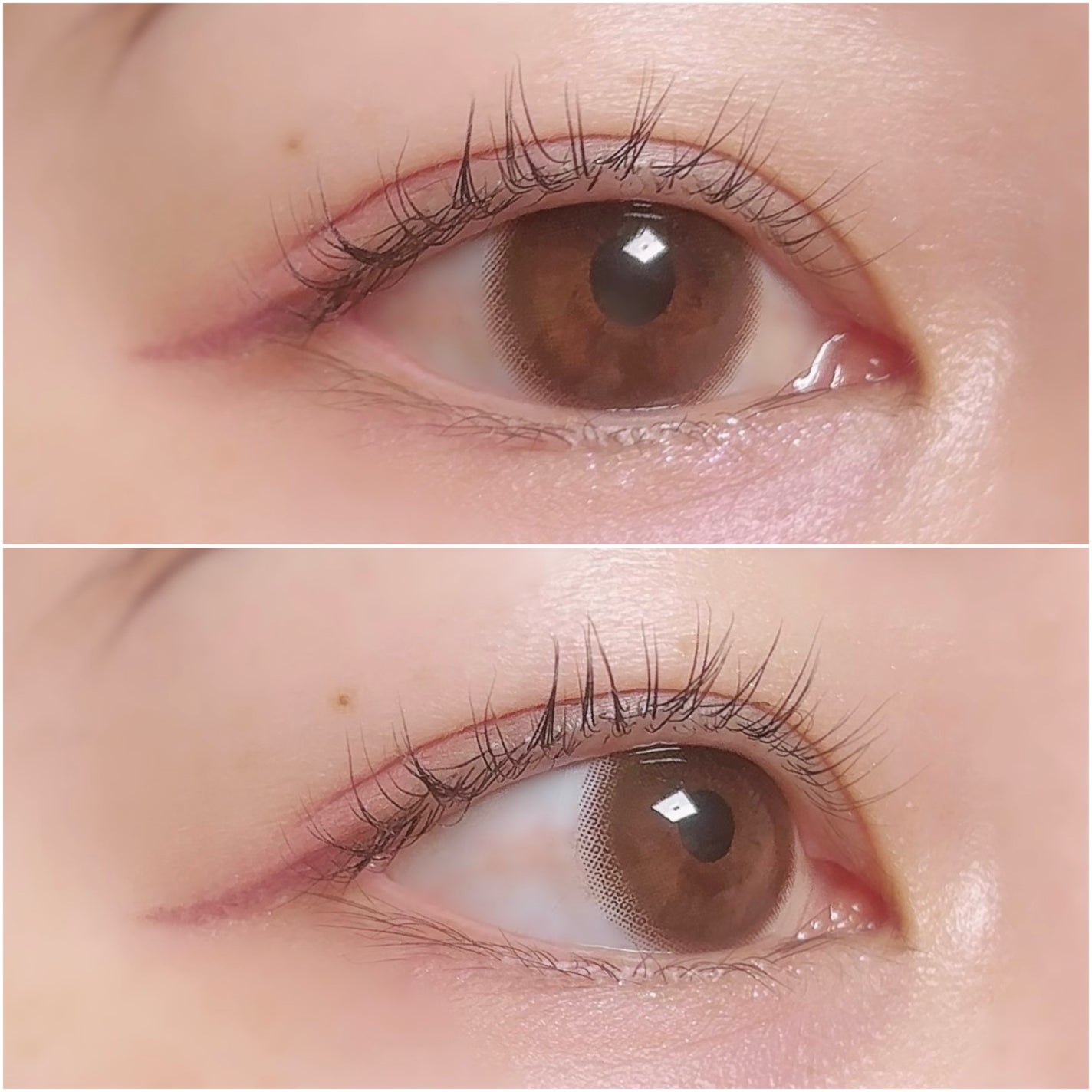 TOPARDS 1day/TOPARDS/ワンデー(1DAY)カラコンを使ったクチコミ(3枚目)