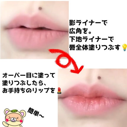 オーバーリップメイカー/Colorgram/リップライナーを使ったクチコミ(2枚目)