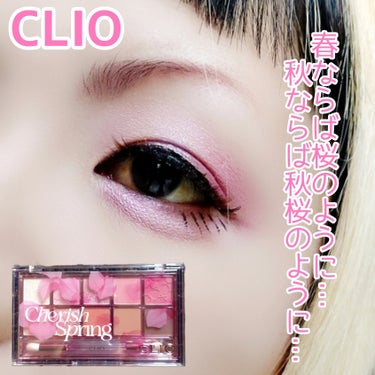 プロ アイ パレット/CLIO/アイシャドウパレットを使ったクチコミ（1枚目）