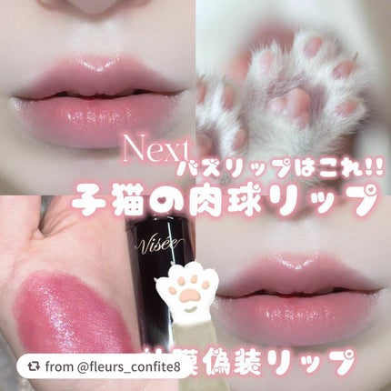 ネンマクフェイク ルージュ/Visée/口紅を使ったクチコミ(1枚目)