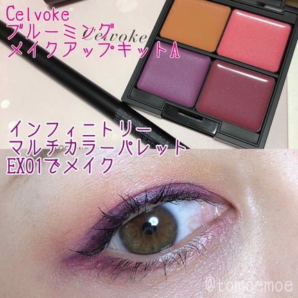 シュアネス アイライナーリキッド C/Celvoke/リキッドアイライナーを使ったクチコミ(1枚目)