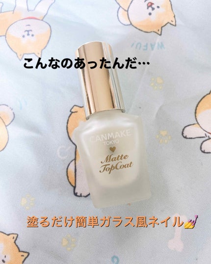 カラフルネイルズ/キャンメイク/マニキュアを使ったクチコミ(1枚目)