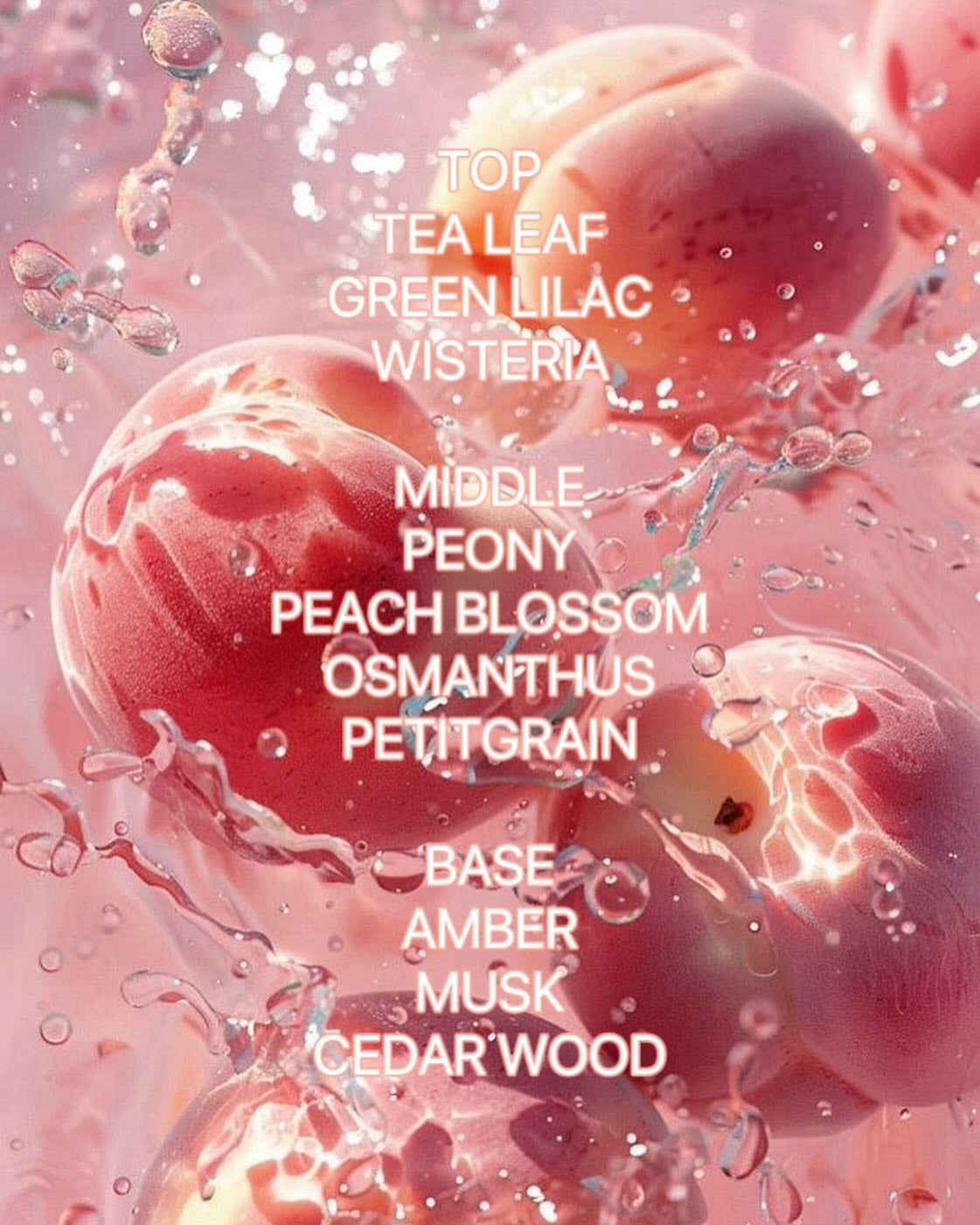 パフュームドヘアシャンプー/BANANAL/市販シャンプーを使ったクチコミ(4枚目)