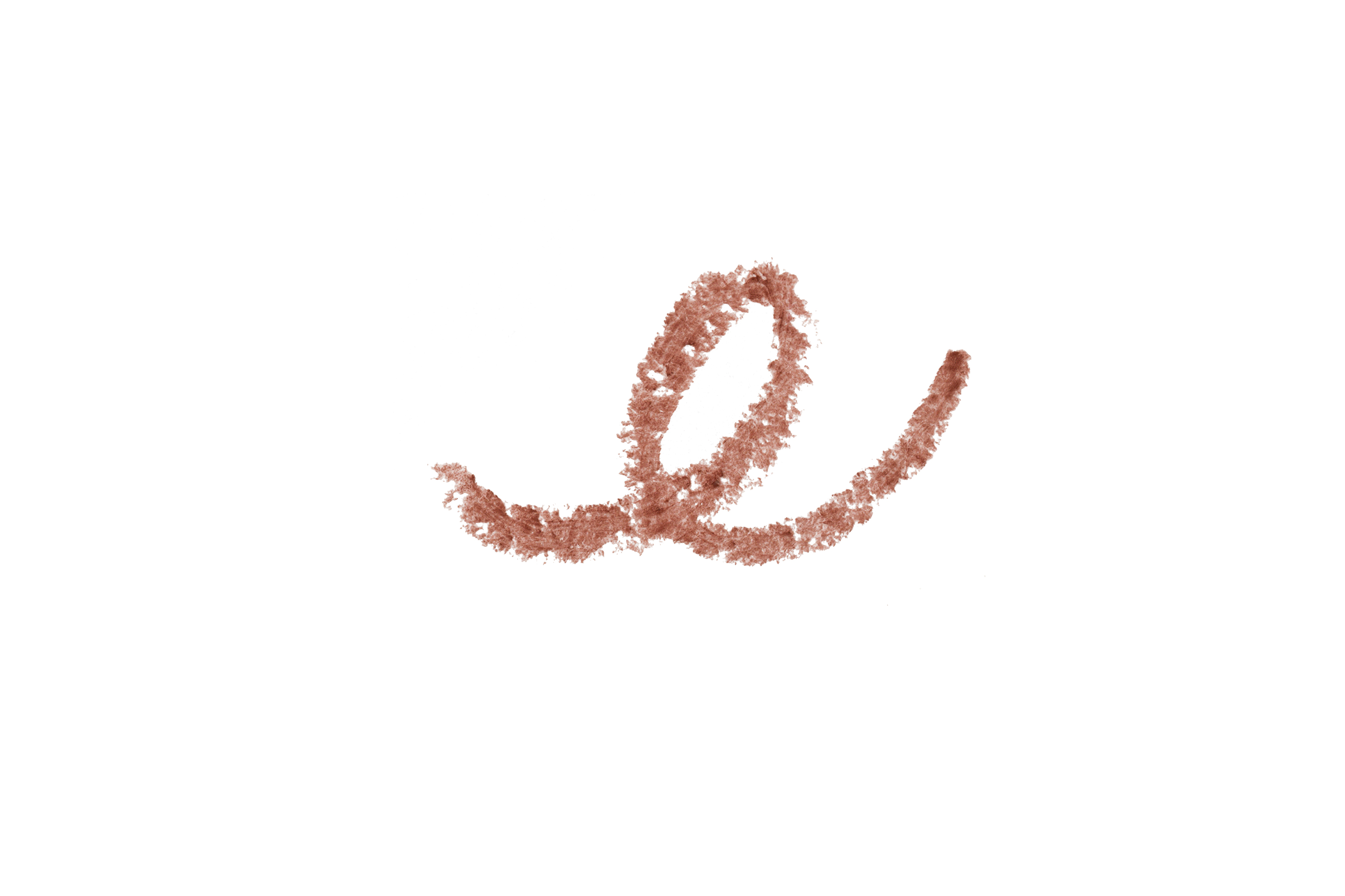 ニュアンス リップボーダーライナー 06  Shinbigan 〈審美眼〉