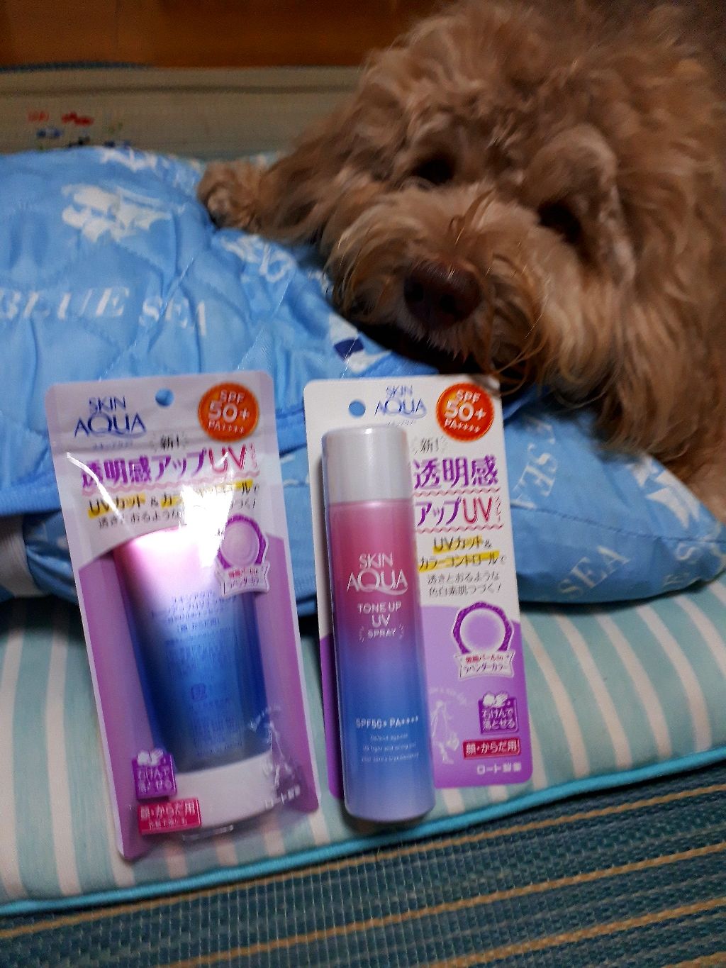 スキンアクア トーンアップUVスプレー/スキンアクア/日焼け止めミスト・スプレーを使ったクチコミ（1枚目）