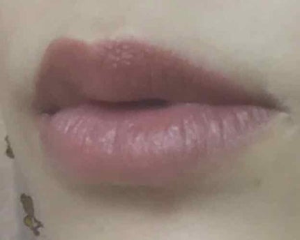 口紅(詰替用)/ちふれ/口紅を使ったクチコミ(1枚目)