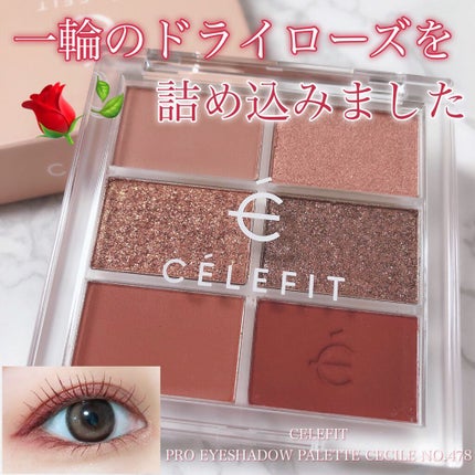 プロアイシャドウパレットセシル/CELEFIT/アイシャドウパレットを使ったクチコミ(1枚目)
