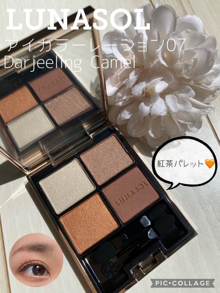 アイカラーレーション/LUNASOL/アイシャドウパレットを使ったクチコミ(1枚目)