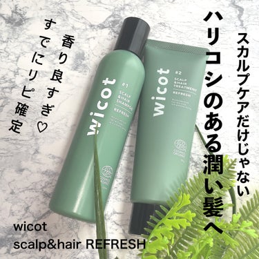 wicot スカルプ＆ヘア シャンプー/トリートメント リフレッシュのクチコミ「美髪は頭皮から👩🏻‍🦰✨

────────────
wicot
スカルプ＆ヘア シャンプー/.....」（1枚目）