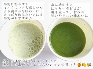 グリーン ファイバー ハニーレモン 3g×30本/Happy Green/ドリンクの画像
