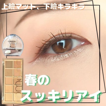 プランぷくコーデアイズ/キャンメイク/パウダーアイシャドウを使ったクチコミ(1枚目)
