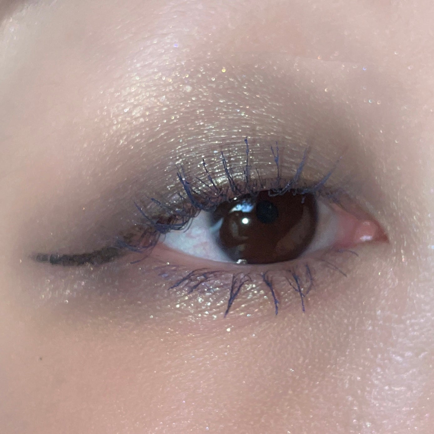 カラードシャドウ/KANEBO/アイシャドウパレットを使ったクチコミ(5枚目)