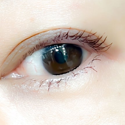 ラッシュエキスパンダー エッジマイスター F BR666/MAJOLICA MAJORCA/マスカラを使ったクチコミ(2枚目)